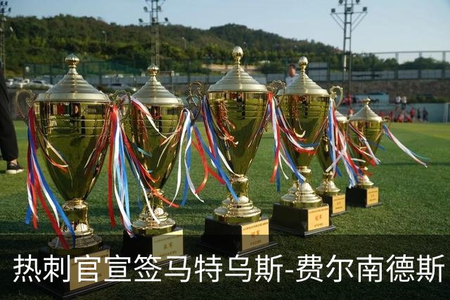 热刺官宣签马特乌斯-费尔南德斯 转会费8500万镑破纪录